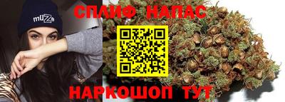 индика Ипатово