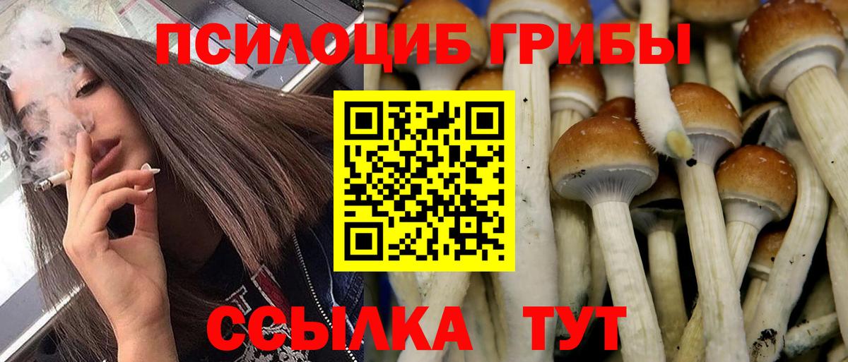 Псилоцибиновые грибы мухоморы Гусиноозёрск