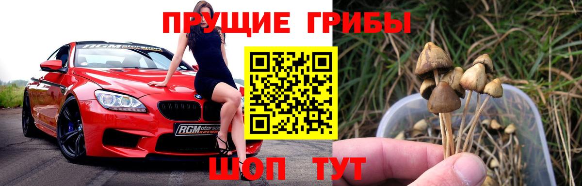 Галлюциногенные грибы Cubensis  Вход с VPN  Псилоцибиновые грибы ЛСД  Гусиноозёрск 